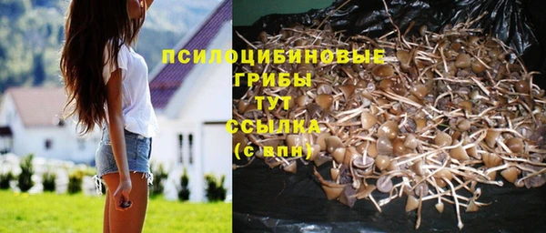 скорость Кодинск