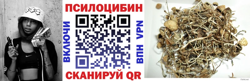 Галлюциногенные грибы Psilocybe  Купить где  Бахчисарай 