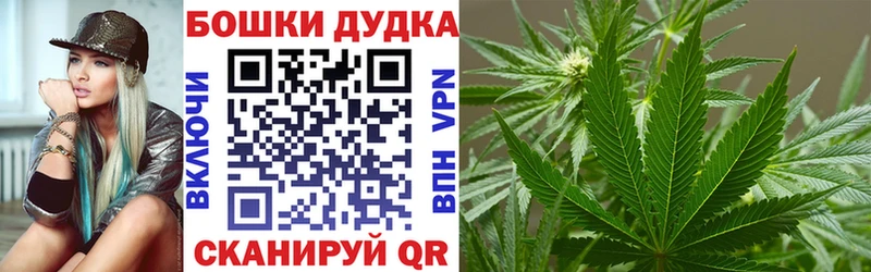 Конопля план  Купить закладки  Бахчисарай 